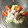 satomen's cooksnap of when they made 鶏のささ身の棒々鶏.