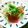 ネムネム犬's cooksnap of when they made 赤ワインに合うカルパッチョサラダ.