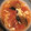 obm's cooksnap of when they made トマトが美味しいきくらげのスープ.