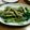 トラとつる's cooksnap of when they made 【レンジで簡単】うるいのおひたし.