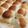 たにたーに's cooksnap of when they made 長時間発酵のふわふわハチミツパン.