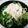 MMまどか's cooksnap of when they made 蒸し鶏とパクチーのサラダ.