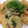 クックHEDQSC☆'s cooksnap of when they made 豚こまと山芋・豆苗の麺つゆマヨ炒め.