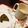 Campanilla's cooksnap of when they made ＊ホワイトチョコdeきなこミルク＊.