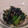 rikihaha's cooksnap of when they made 小松菜と鮭フレークの和え物.