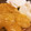 クックLZ7E8G☆'s cooksnap of when they made 夏みかんの砂糖漬け.