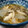 きまま工場長's cooksnap of when they made 鶏ささみとかぶとしいたけのスープ.