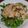 コハク☆。・'s cooksnap of when they made ピーマン♡ジャッ！.