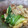 まさコ's cooksnap of when they made 万能オイスターソース炒め～椎茸と青梗菜～.