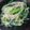 クックWSQEN9☆'s cooksnap of when they made 小松菜ともやしの給食風ナムル.