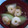 ゆりYO船長's cooksnap of when they made 冬瓜（夕顔）と海老の炊き合わせ.