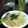 ざわはな's cooksnap of when they made いかの塩辛スパゲッティ.