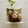 puniＫ's cooksnap of when they made ❀さくら白玉あずき❀.