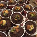 ＊naocook＊'s cooksnap of when they made ナッツブラウニーカップ.