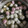 ♡はるちん56♡'s cooksnap of when they made ふんわり♡卵と白はんぺんのスープ.