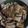つくしS's cooksnap of when they made すき焼きのタレで豚丼.