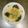 crabapples's cooksnap of when they made ブロッコリーとカリフラワーのパン粉がけ♪.