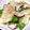 nosso's cooksnap of when they made 意外と簡単！菜の花ときのこのリゾット.