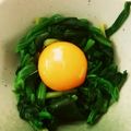 あいこみらい's cooksnap of when they made 簡単おつまみ♪にら卵黄.