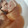 erumo11's cooksnap of when they made 旬の大根染み染み◎豚バラと大根の煮物◎.