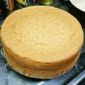 ゆかぶぅ〜's cooksnap of when they made スポンジケーキ☆ジェノワーズ生地.