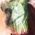 にわこぽっぷ's cooksnap of when they made ほうれん草の保存方法♡(冷蔵庫).