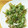 こっこちゃーん's cooksnap of when they made 失敗なし☆からりと揚がるふきのとう天ぷら.