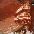 knys's cooksnap of when they made ポットロースト（トマトグレービー風）.