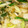 クックM1GIZX☆'s cooksnap of when they made ✿鱈の茸と銀杏のあんかけ✿.