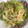 まゆこ＠'s cooksnap of when they made レタスともやし◎鶏ガラ炒め.