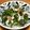 QPはにー's cooksnap of when they made きのこと野菜のみぞれ和え.