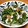 QPはにー's cooksnap of when they made きのこと野菜のみぞれ和え.