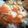 curisupin's cooksnap of when they made 時短で美味しい◎トマたま丼.