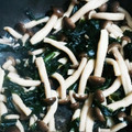 ぽぴぽぴ's cooksnap of when they made ワカメときのこの炒め物.