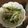 やまびこwa's cooksnap of when they made 大量消費 水菜とモヤシの中華風.