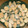 クックPQVJ4R☆'s cooksnap of when they made ハマグリの洋風酒蒸し.