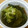 はるほのキラリ's cooksnap of when they made きゅうりとわかめの酢の物.