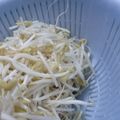 ゆーあちん's cooksnap of when they made シャキシャキもやしの秘密.