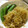 低カロ探検隊's cooksnap of when they made 生姜で温活！豚肉としらたきの炒め煮.