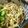 低カロ探検隊's cooksnap of when they made ゆかりとごまのスパゲティ.