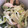 あ～子ママ's cooksnap of when they made 簡単旨い♡ささみとネギの塩レモン和え.