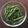 826252's cooksnap of when they made 醤油麹でコク♪いんげんの胡麻和え.