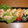 ちーーず♪'s cooksnap of when they made お弁当に☆ちくわシソ巻き.