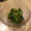 ツルコ's cooksnap of when they made 簡単 ほうれん草のおひたし とびっこ和え.