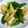 Jyohana's cooksnap of when they made 簡単☆じゃがいも炒め！.