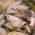 さうざんと's cooksnap of when they made ハタハタ鍋（塩味）.