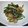 chika1cook's cooksnap of when they made ほうれん草と豚肉のごま炒め.