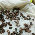 malanao's cooksnap of when they made うるち米の土鍋炊きお赤飯.