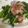 yummy?'s cooksnap of when they made 菜の花とベーコンのソテー♪.