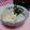 にゃにゃ☆☆☆'s cooksnap of when they made 納豆とろろご飯.